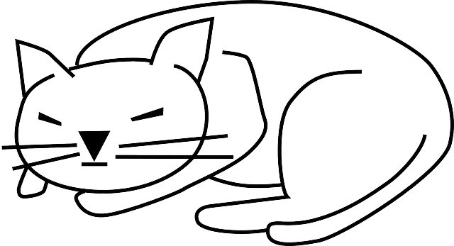 Cat, Black, Simple, Outline, Drawing - Cat Clip Art (640x347)