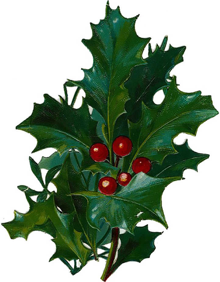 Victorian Vintage Christmas Die Cut Clipart - Victorian Line Art Christmas (750x960)