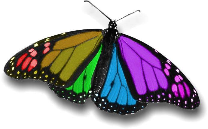 Do Understand Red To Mean Stop Of Course You Do - Monarch Butterfly (750x466)