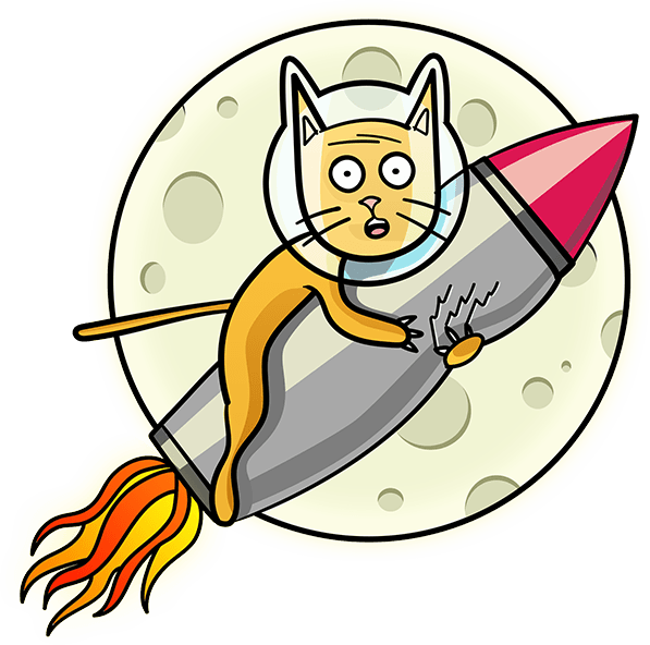 Kitty On A Rocket - Ct Scan (597x592)