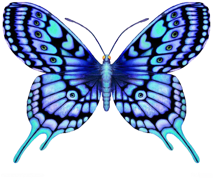 Butterfly Tattoo Large Blue Color - Butterfly Designs (700x587)