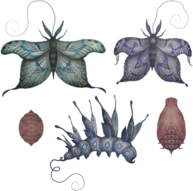 Purple Cave Monarch Butterfly Life Cycle By V L A D - Papilio (721x694)