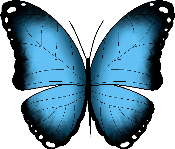 Find, Make For Butterfly Animated Gif Transparent 110yll - Gif (1208x1020)