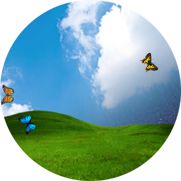 Simple Watch Face With Butterflies - Grass (360x360)