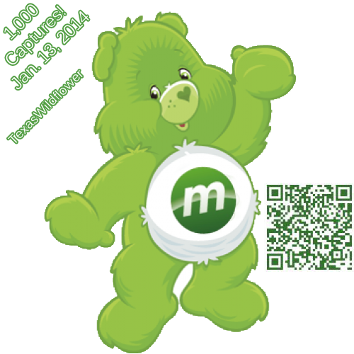 #62, Rebelgtp's Good Luck Bear Social Munzee - Care Bears (500x500)