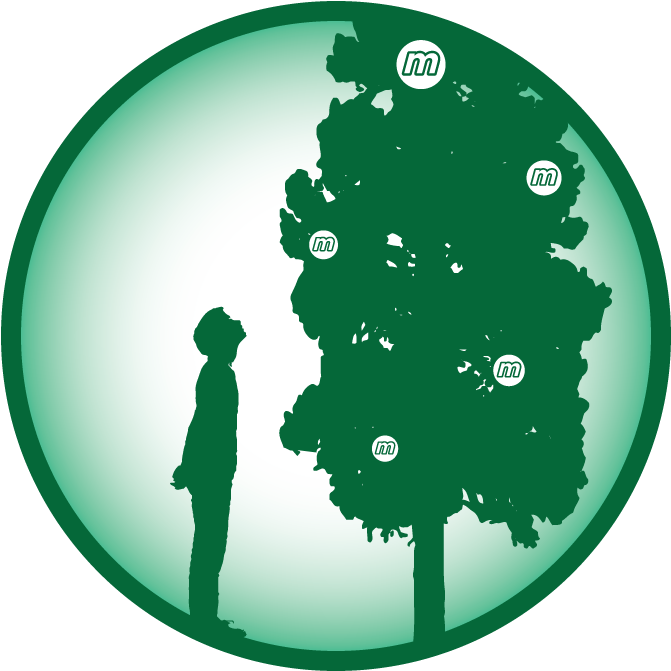 Attendees, I Hope You're Getting Your Green Clothes - Man Model Bojonegoro (720x720)