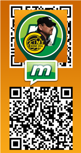 #29, Jobbern`s Social Munzee - Munzee Social (500x500)