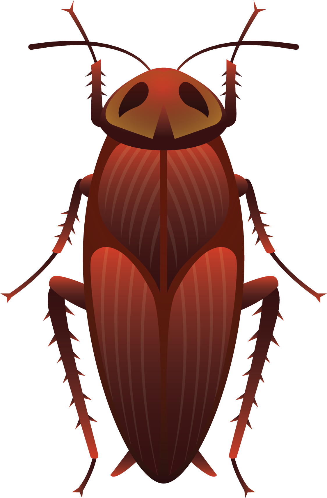 Insect Wing Cockroach Bee Butterfly - 蟑螂 Q 版 素材 (1731x2862)