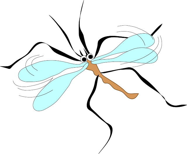 Mosquito, Cartoon, Wings, Long, Sucker, Insect, Animal - Mosquito Clip Art (640x528)