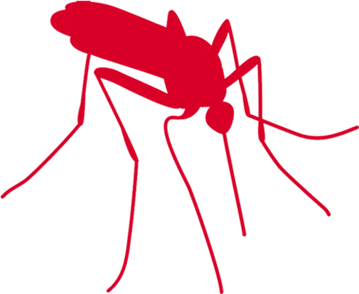 Insect Bites Safety Mississauga - Mosquito Clipart (512x512)