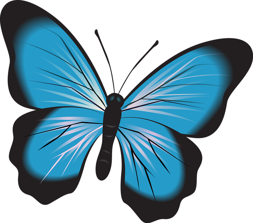 Butterfly Cliparts 7, Buy Clip Art - Papillon Bleu Clipart (1280x1130)