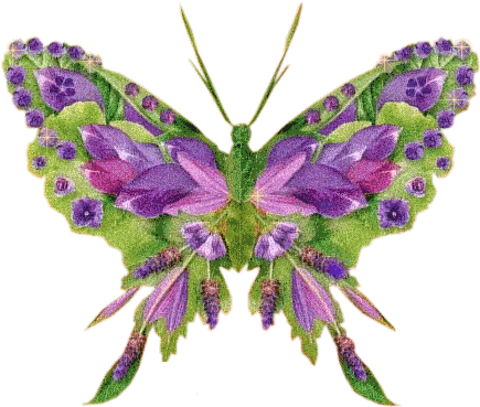 Анимации Красивых Бабочек - Buongiorno Con Farfalle Gif (458x419)