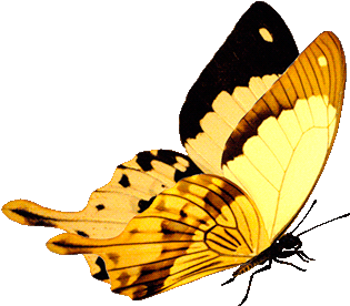 0 B1d3e 17a6ff6 Orig - Marti 8 Gif (500x463)