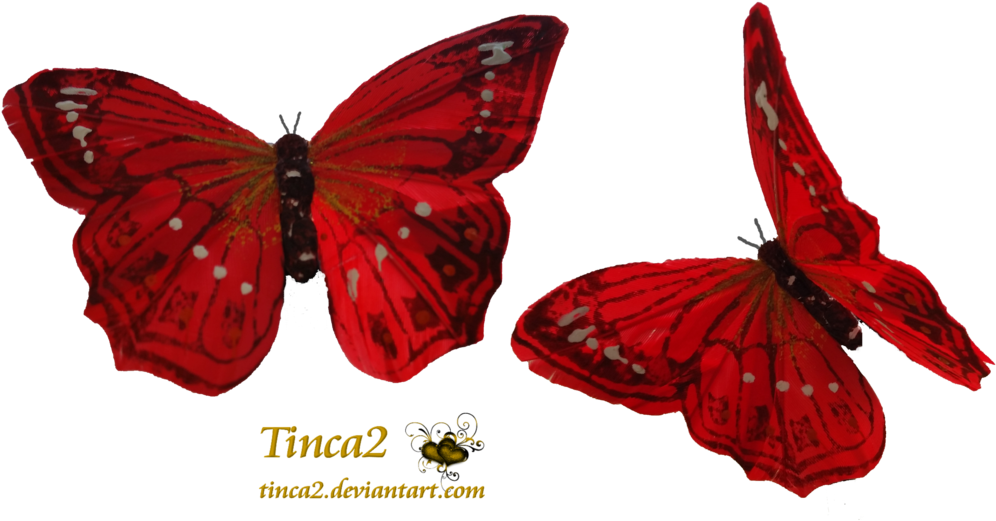 Real Red Butterfly - Red Butterfly Transparent (1024x576)