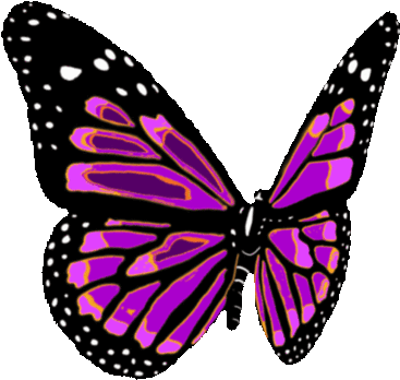 Butterfly Sticker By Imoji For Ios & Android - Monarch Butterfly (480x480)
