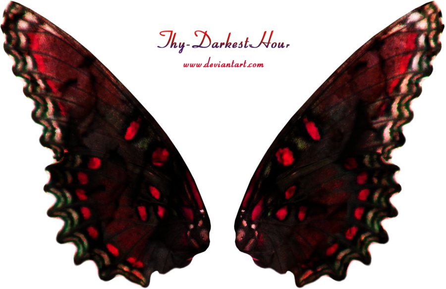 Spotted Fairy Wings 02 By Thy Darkest Hour - Black And Red Fairy Wings (900x584)