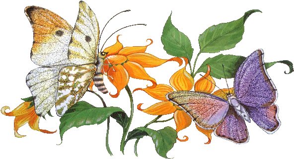Бабочки На Цветах - Animated Butterfly And Flower Gif (600x328)