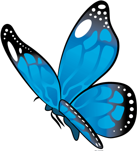 Make A Birthday Party Extra Special With Birthday Illooms® - Work - Illooms (500x537)