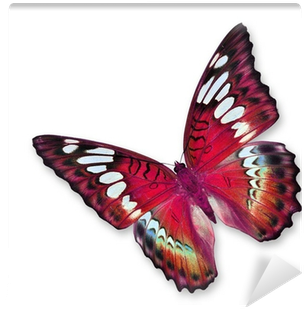 Being Strong In The Faith! A Story (400x400)