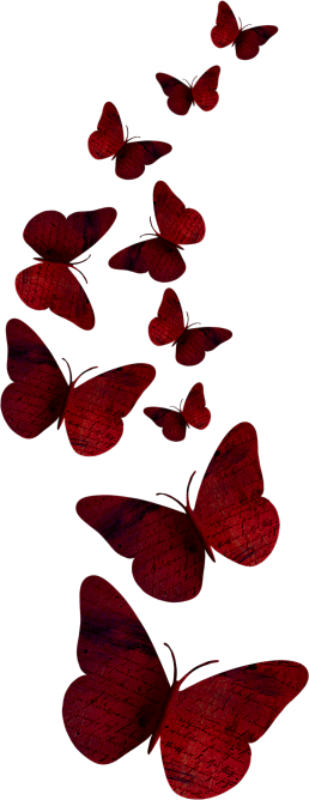 «dbv Betsys Paradise Dream Butterfly - Gone But Not Forgotten (309x800)