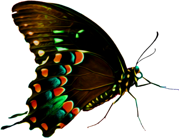 Butterfly Texture Special By Wildjaeger On Deviantart - Butterfly Png For Photoshop (1095x730)