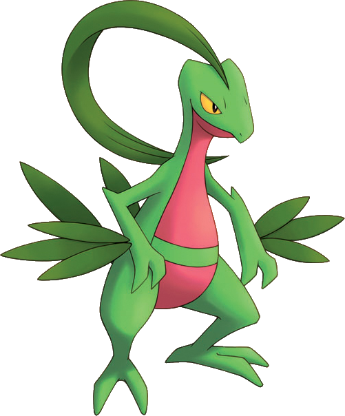 Important Notice Pokemon Grovyle Is A Fictional Character - Pokemon Mystery Dungeon Grovyle (501x604)