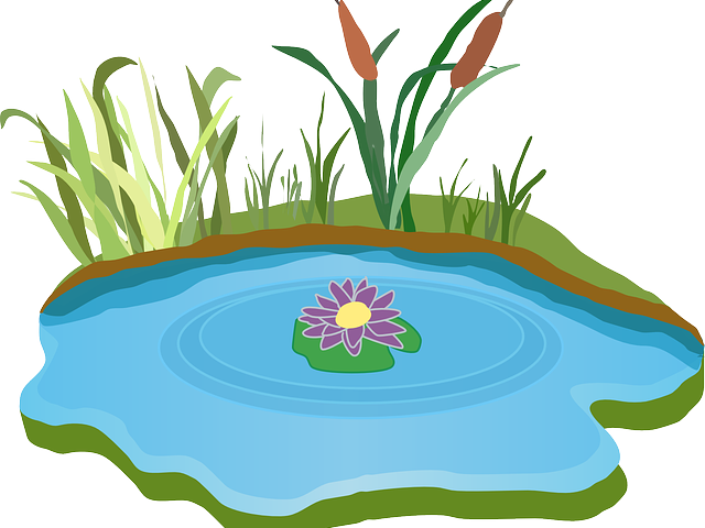 Lawn Clipart Pond Grass - Lake Clipart (640x480)