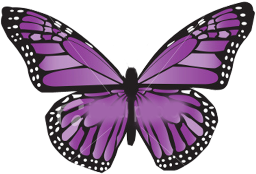 Alas De Mariposa Png By Candelb - Monarch Butterfly Note Cards (894x894)