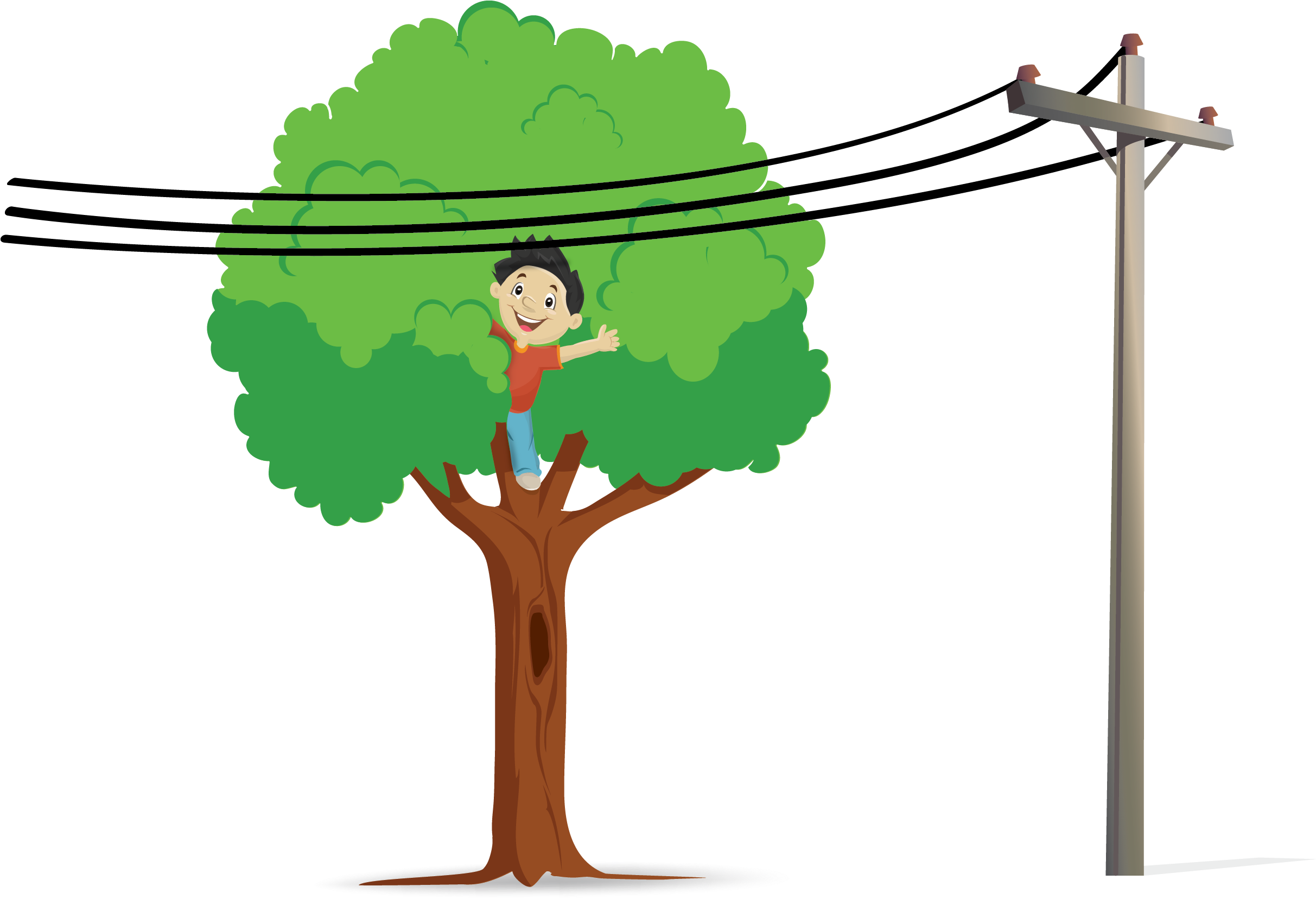 Identify The Dangerous Electrical Situation And Explain - Arboles Coloreados (2424x1662)