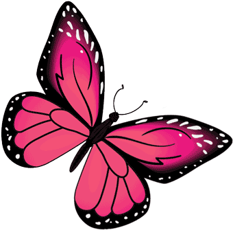 Why Little Garden - Brush-footed Butterfly (500x405)