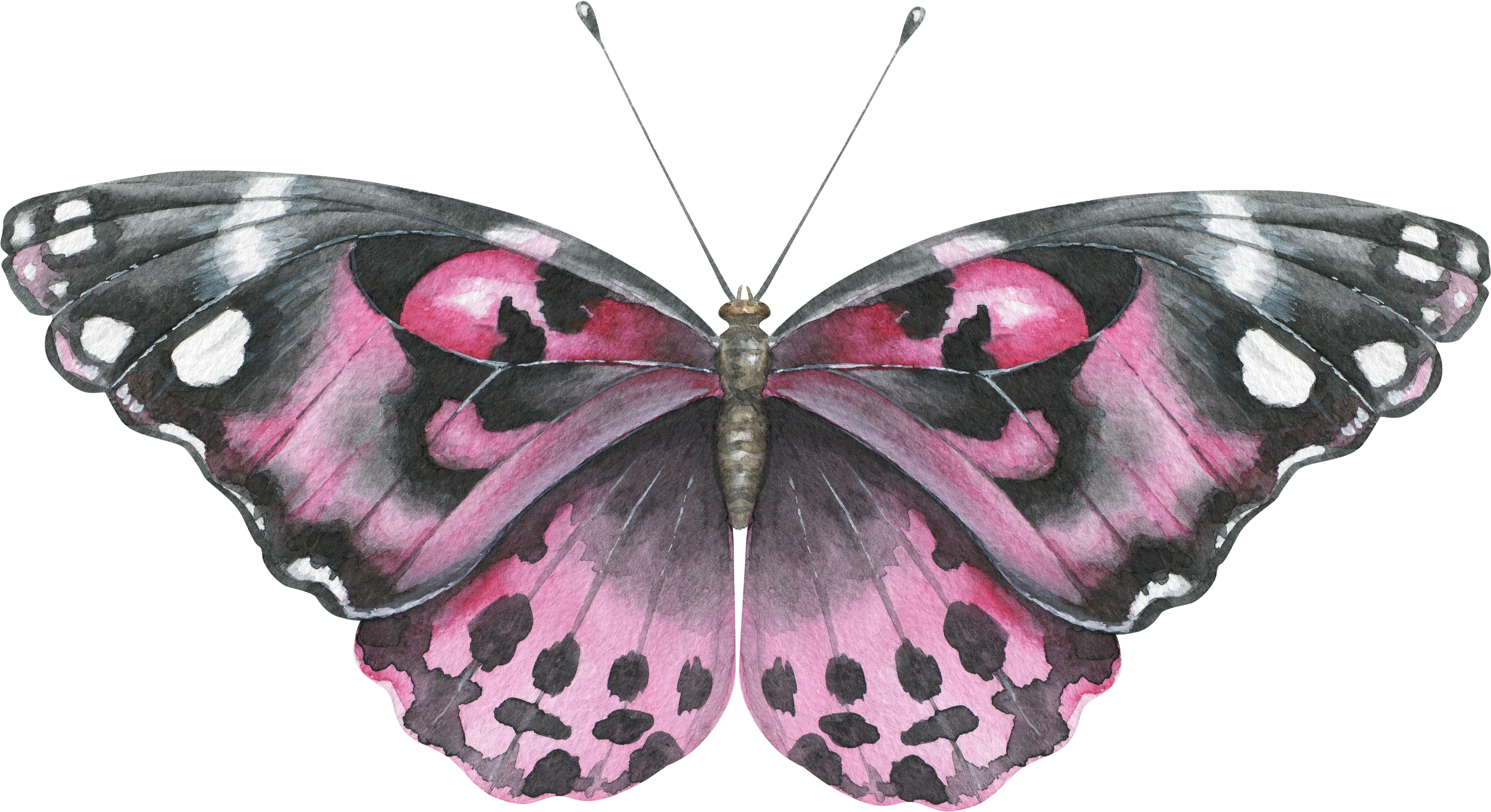 Butterfly Nymphalidae Clip Art - Three Butterflies Backpack By Saraeshak (4164x2326)