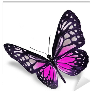 Flying Butterfly Images Pink (400x400)