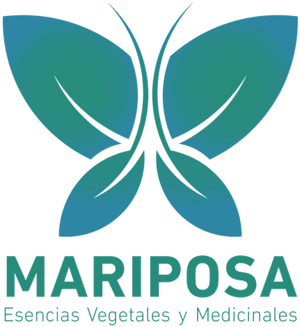 Butterflies And Moths (500x500)