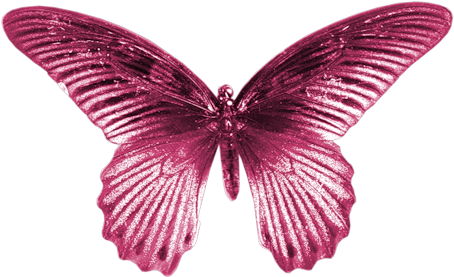 Pink Butterfly Gif - Papilio (500x326)