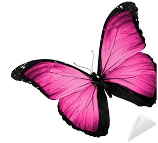 Pink Butterfly Flying, Isolated On White Background - Butterflies And Moths (400x400)
