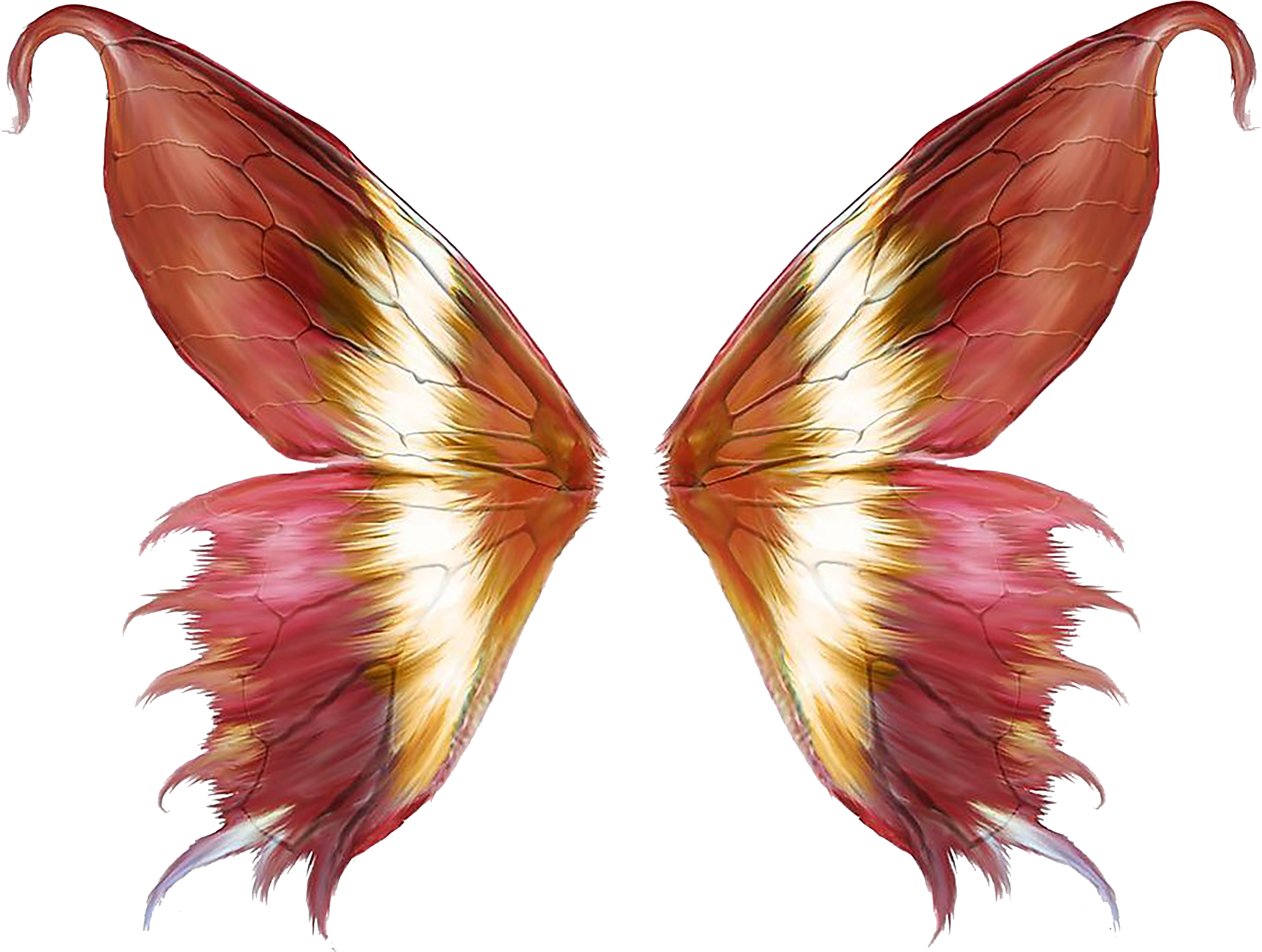 Pink Butterfly Wings - Fairy Wings (2362x2362)