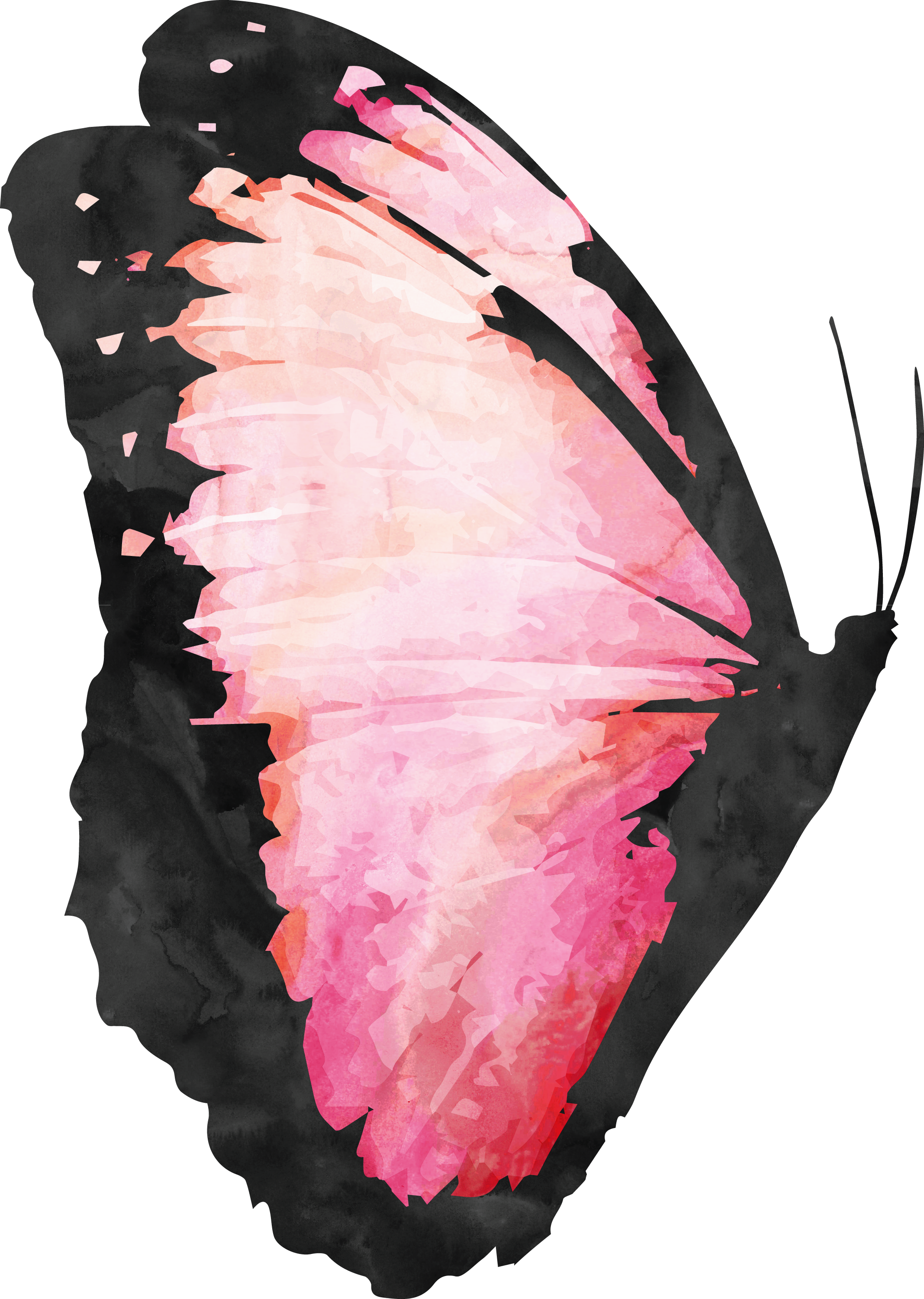 Butterfly Watercolor Painting - Painting (2135x3000)