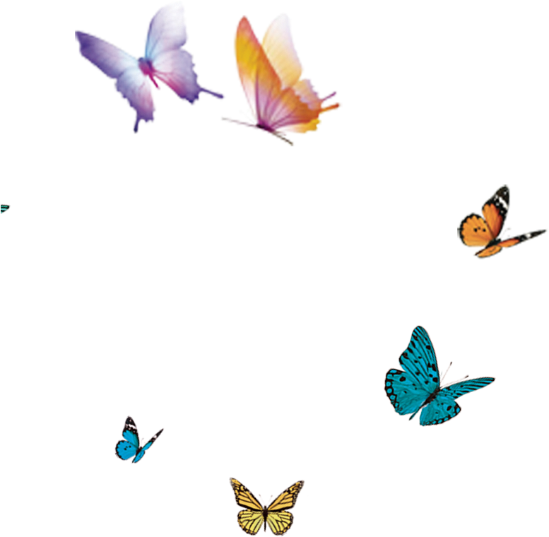 Butterfly Flight Wing - Adobe Incopy Cs2 - Version 4.0 - Media (800x800)