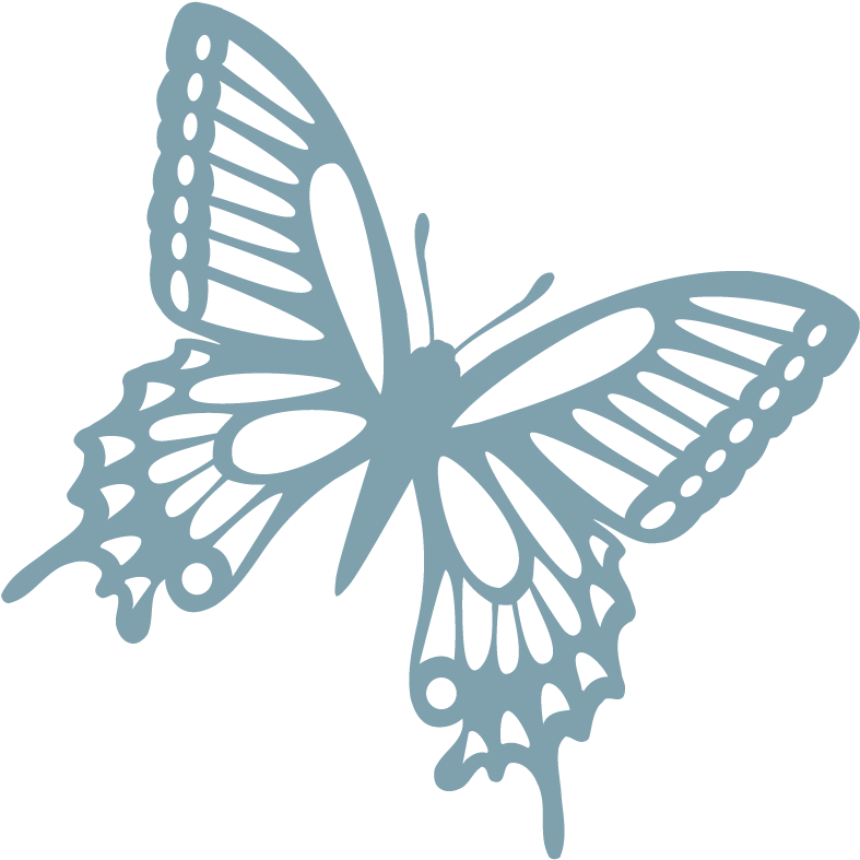 Vinilo Decorativo Mariposa Elegantes Alas - Butterflies And Moths (800x800)