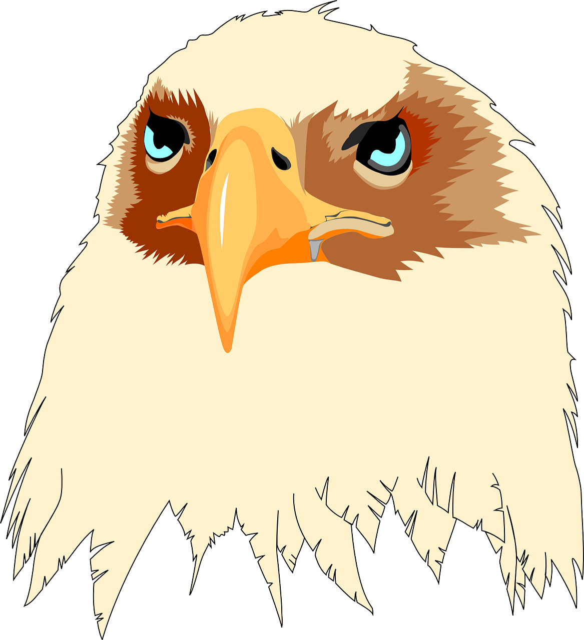 Head Eyes Eagle Tan Bird Beak Png Image - Bald Eagle (1167x1280)