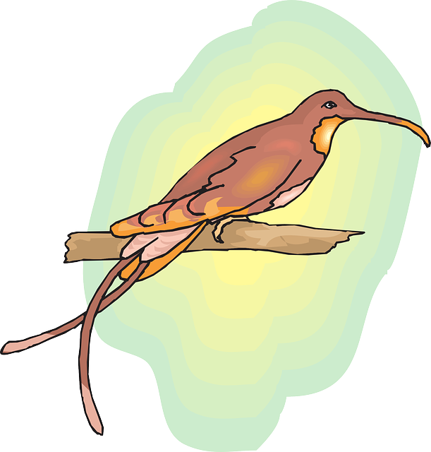 Brown, Sun, Sky, Bird, Branch, Wings, Hummingbird - Colourful Birds On Branches Images Png (611x640)