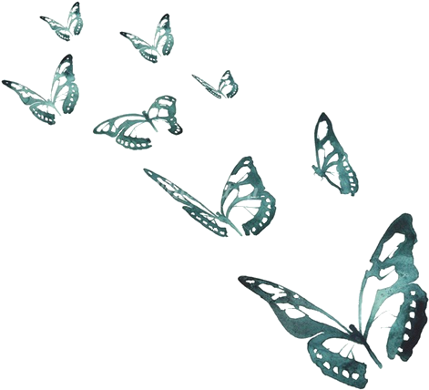 Butterfly - Butterflies And Moths (500x439)