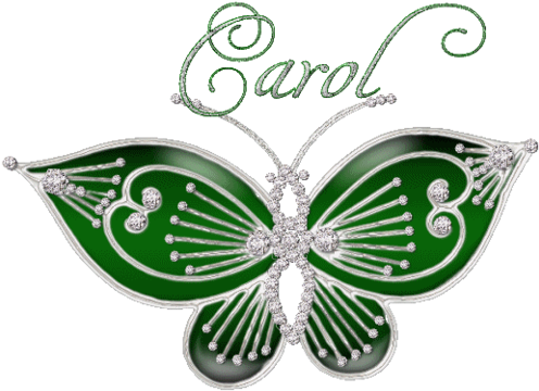 Album Photo - Butterfly (500x368)