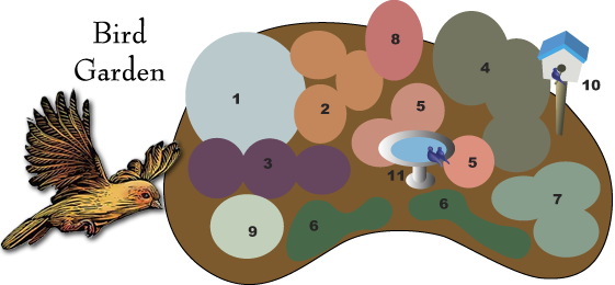 Bird Garden Design - Bird Garden Design (561x260)