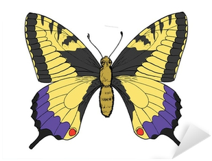 Hand Drawn, Sketch, Vector Illustration Of Swallowtail - Illustration (400x400)
