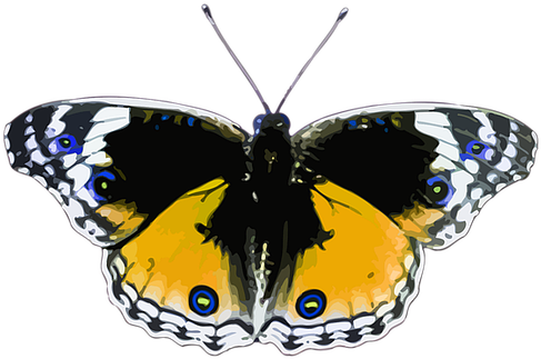 Free Image On Pixabay - Butterflies And Bullets By Trisha Sugarek 9781450591942 (640x625)