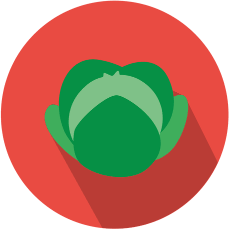 Cabbage Circle Icon Transparent Png - New York Times Icon (512x512)