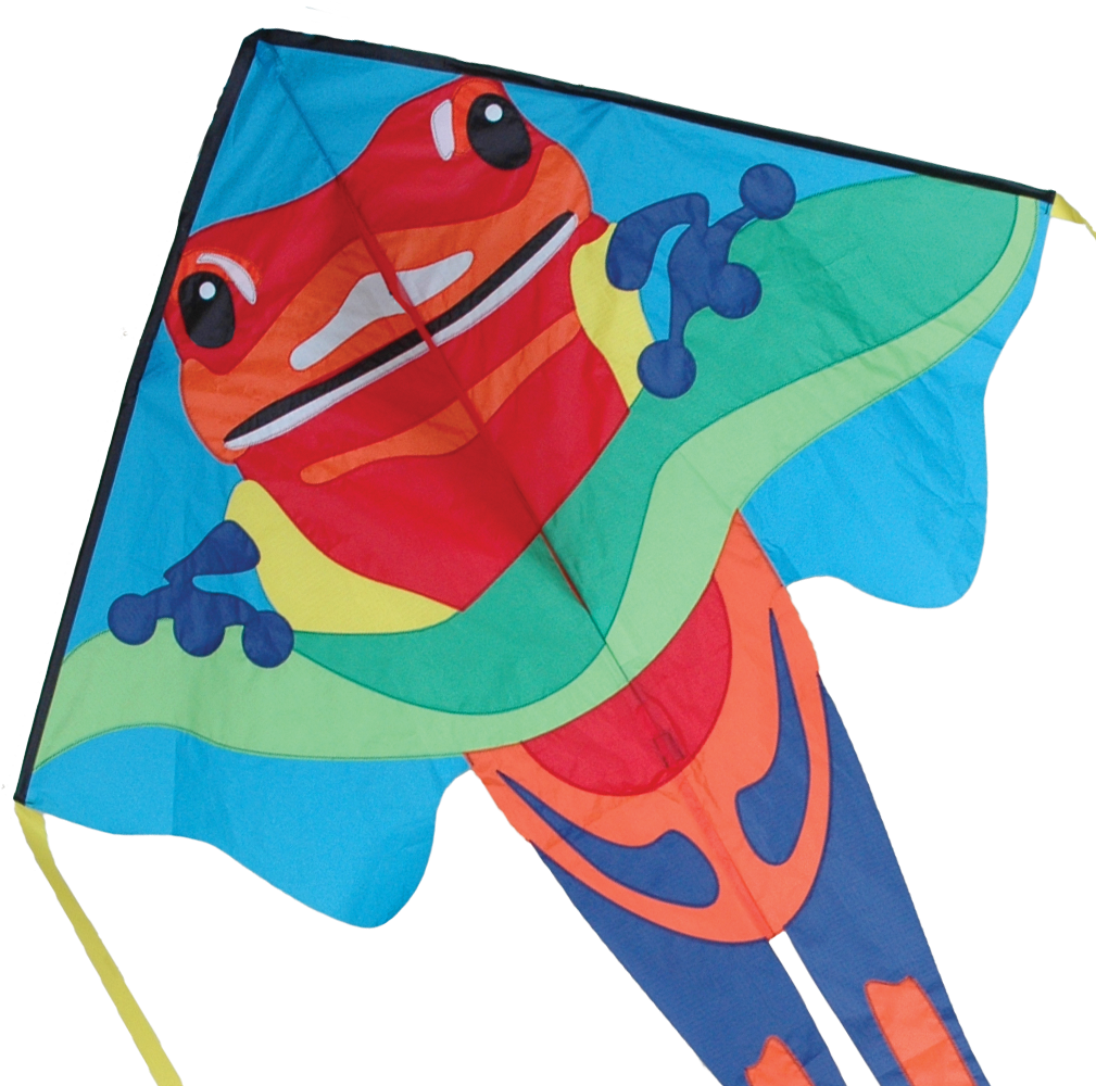 Large Easy Flyer Kite - Premier Kites Large Easy Flyer - Poison Dart (1024x1024)