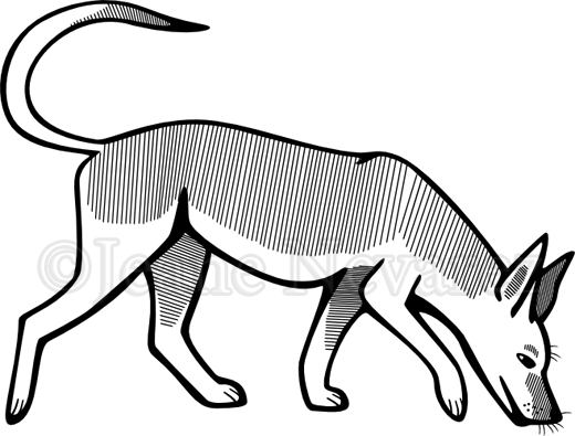 Sniffing - Dog Sniffing The Ground Drawing (640x480)