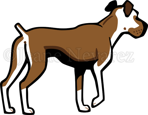 Boxer Dog - Royalty-free (520x403)